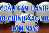 Lô câm đầu là gì? Kinh nghiệm số đề hiệu quả dành cho cược thủ