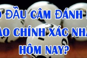 Lô câm đầu là gì? Kinh nghiệm số đề hiệu quả dành cho cược thủ