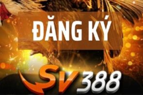 Đăng ký SV388 tạo tài khoản nhanh an cho tân thủ